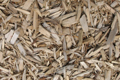 biomass boilers Bushbury